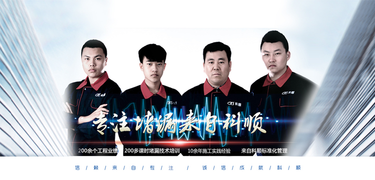 黑龍江科順?lè)浪侣┘夹g(shù)有限公司